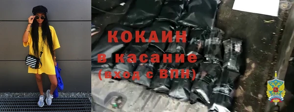 шишки Арсеньев