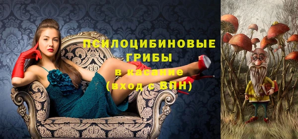 МДПВ Алексеевка