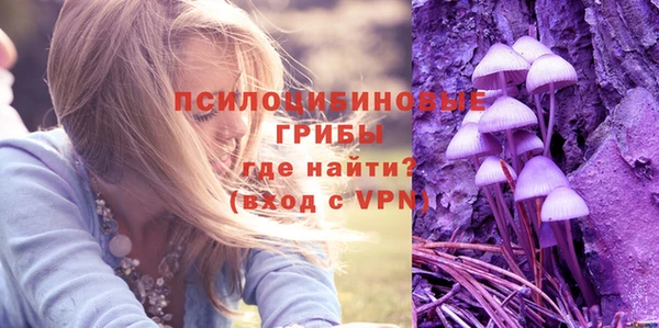 дмт Армянск