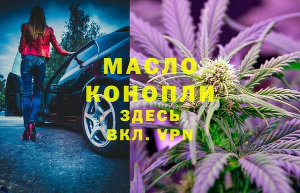 шишки Арсеньев