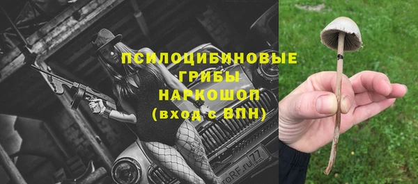 МДПВ Алексеевка