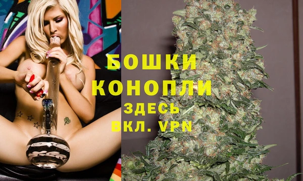 шишки Арсеньев