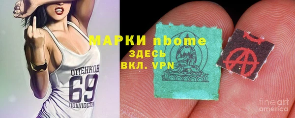 шишки Арсеньев
