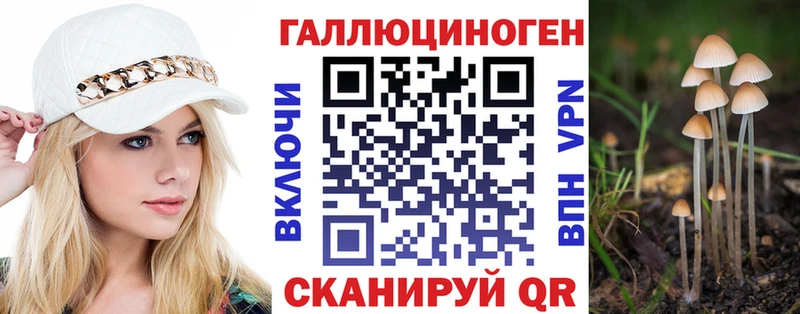 где можно купить наркотик Салехард omg зеркало Псилоцибиновые грибы Psilocybe
